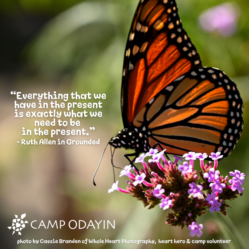 Photo by Cassie Branden of Whole Heart Photography

Quote from Ruth Allen, author of 'Grounded'