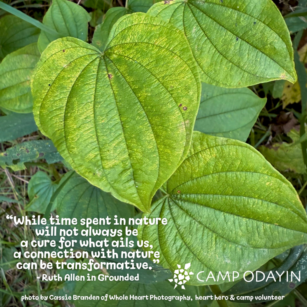 Photo by Cassie Branden of Whole Heart Photography

Quote from Ruth Allen, author of 'Grounded'