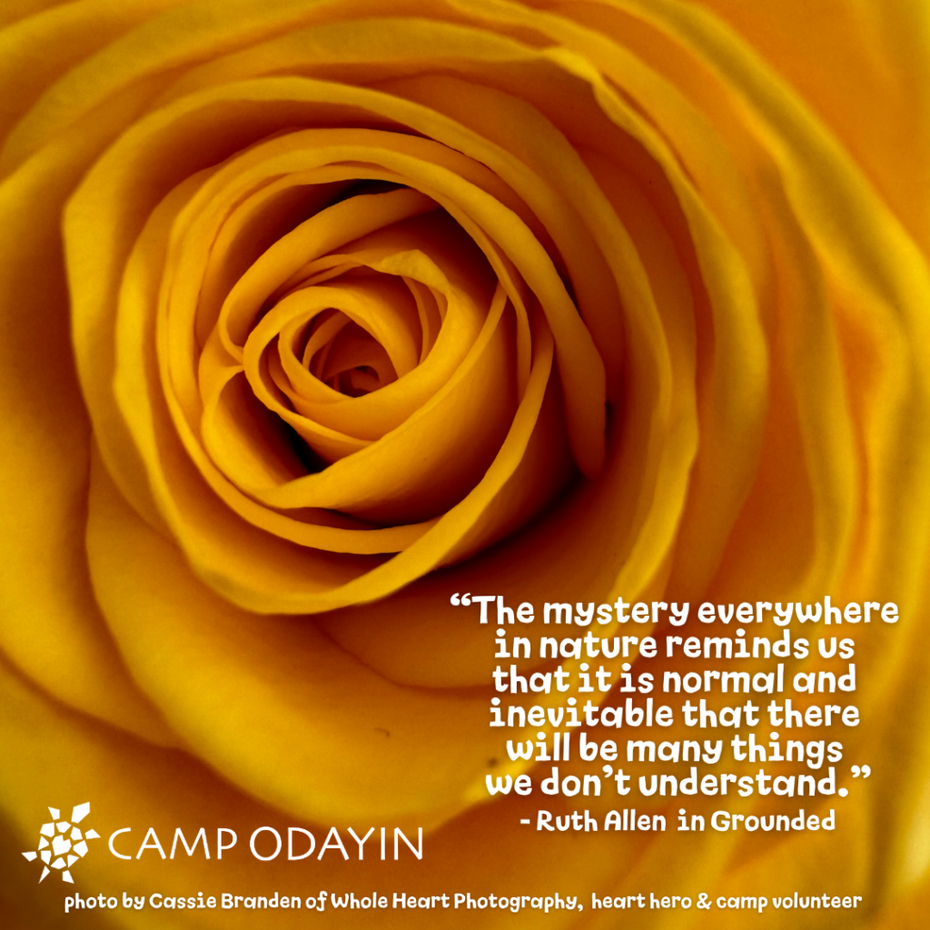 Photo by Cassie Branden of Whole Heart Photography

Quote from Ruth Allen, author of 'Grounded'