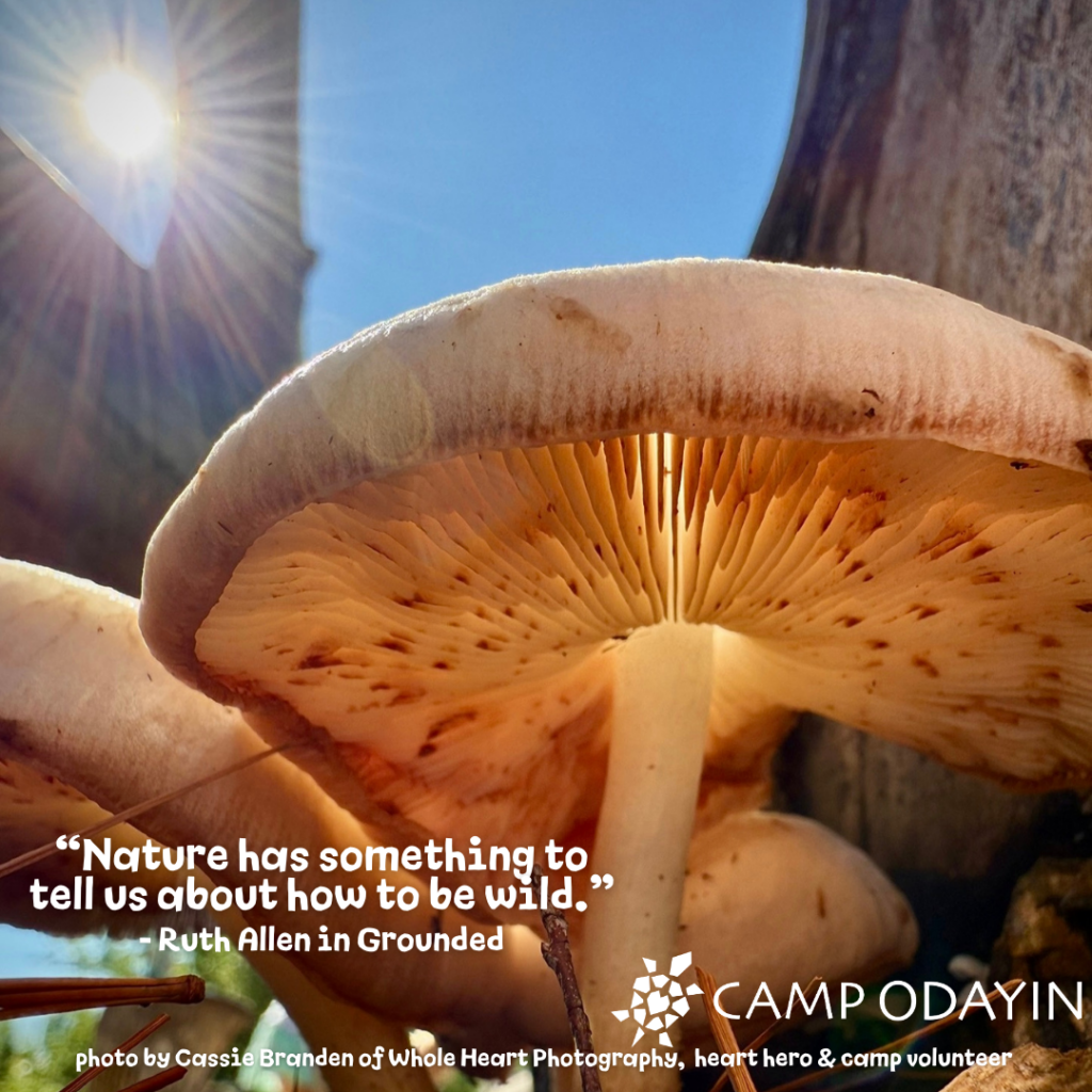 Photo by Cassie Branden of Whole Heart Photography

Quote from Ruth Allen, author of 'Grounded'