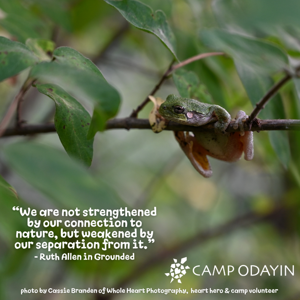 Photo by Cassie Branden of Whole Heart Photography

Quote from Ruth Allen, author of 'Grounded'